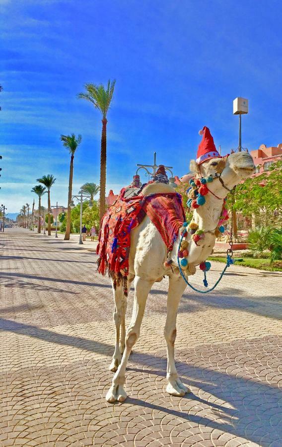 Villages Road Suite Hurghada Exterior foto